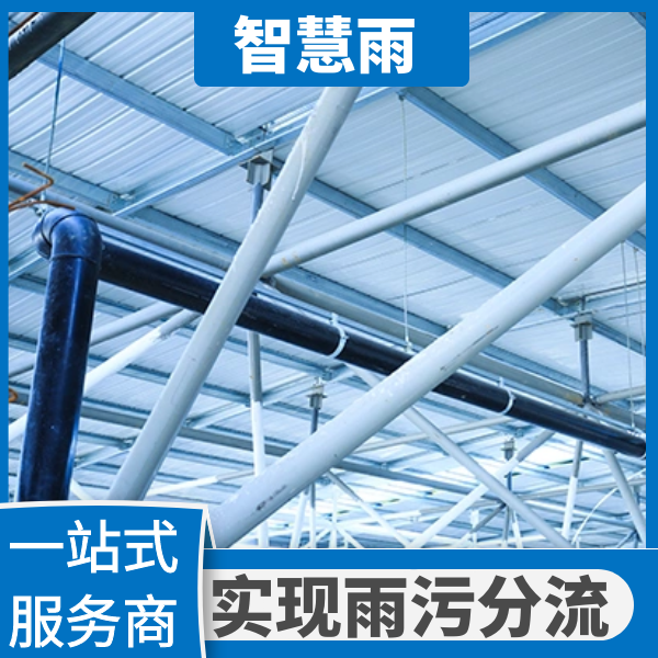 2023年虹吸式雨水收集系统_汇通虹吸雨水系统_某地雨水收集综合利用系统可行性研究报告