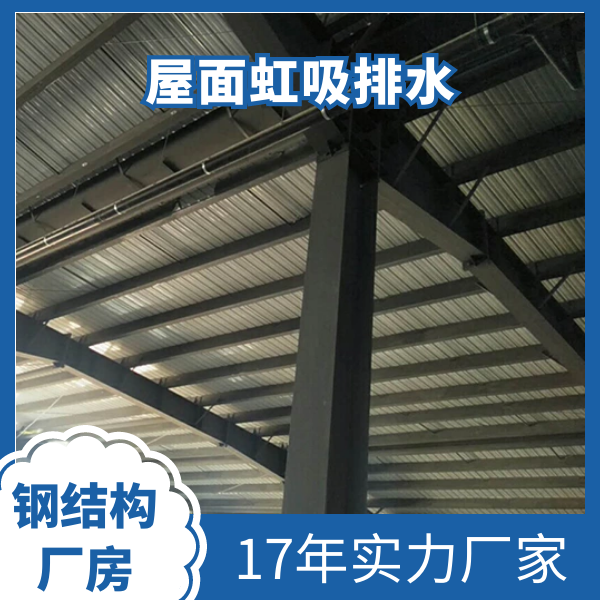 雨水排水 虹吸式 智慧雨